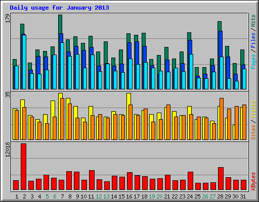 Daily usage for January 2013