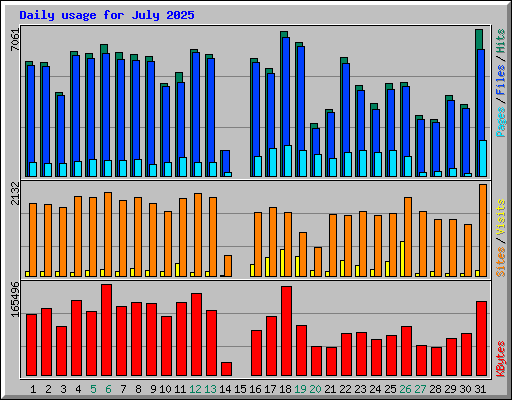 Daily usage for July 2025
