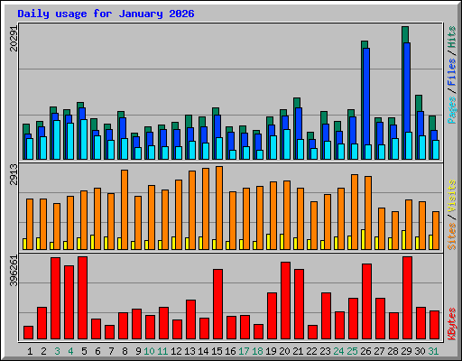 Daily usage for January 2026