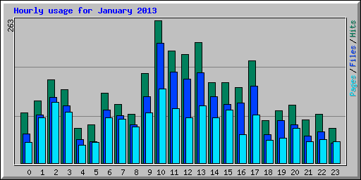Hourly usage for January 2013