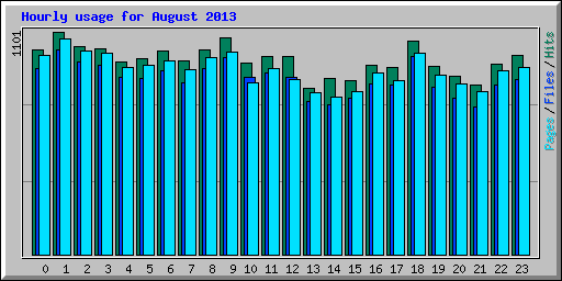 Hourly usage for August 2013