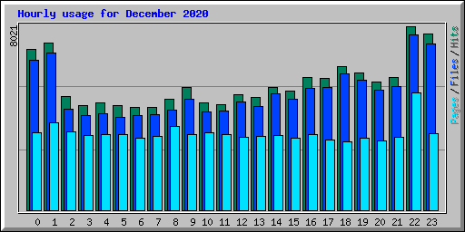 Hourly usage for December 2020
