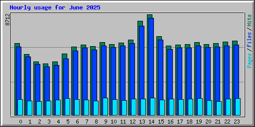 Hourly usage for June 2025