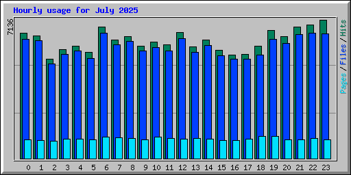 Hourly usage for July 2025