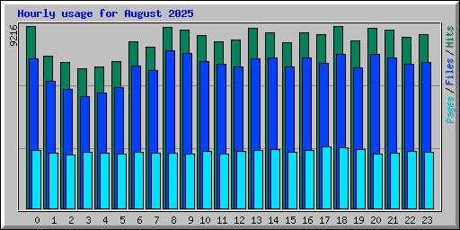 Hourly usage for August 2025