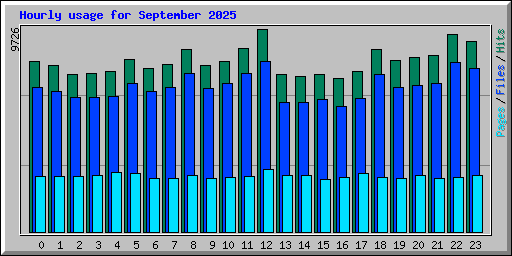 Hourly usage for September 2025