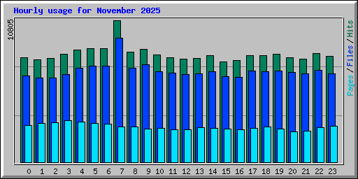 Hourly usage for November 2025