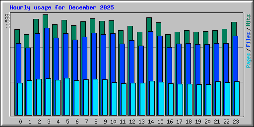 Hourly usage for December 2025