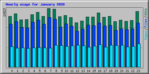 Hourly usage for January 2026