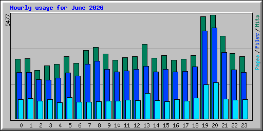 Hourly usage for June 2026