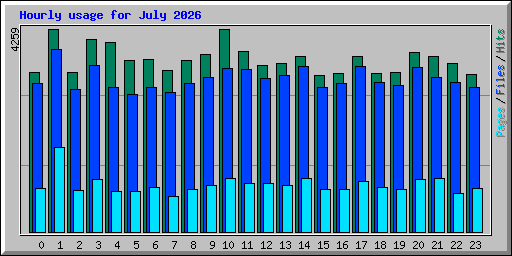 Hourly usage for July 2026